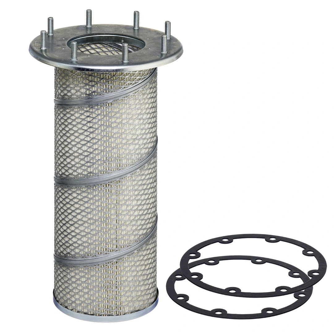 Secondary Air Filter